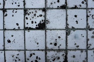 tile water damage repair San Diego California