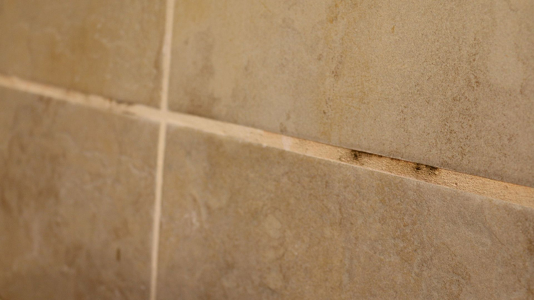 Tile Grout Repair